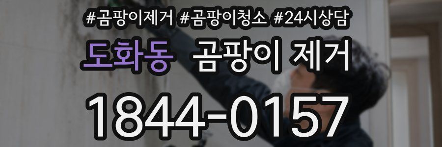 도화동 곰팡이 제거