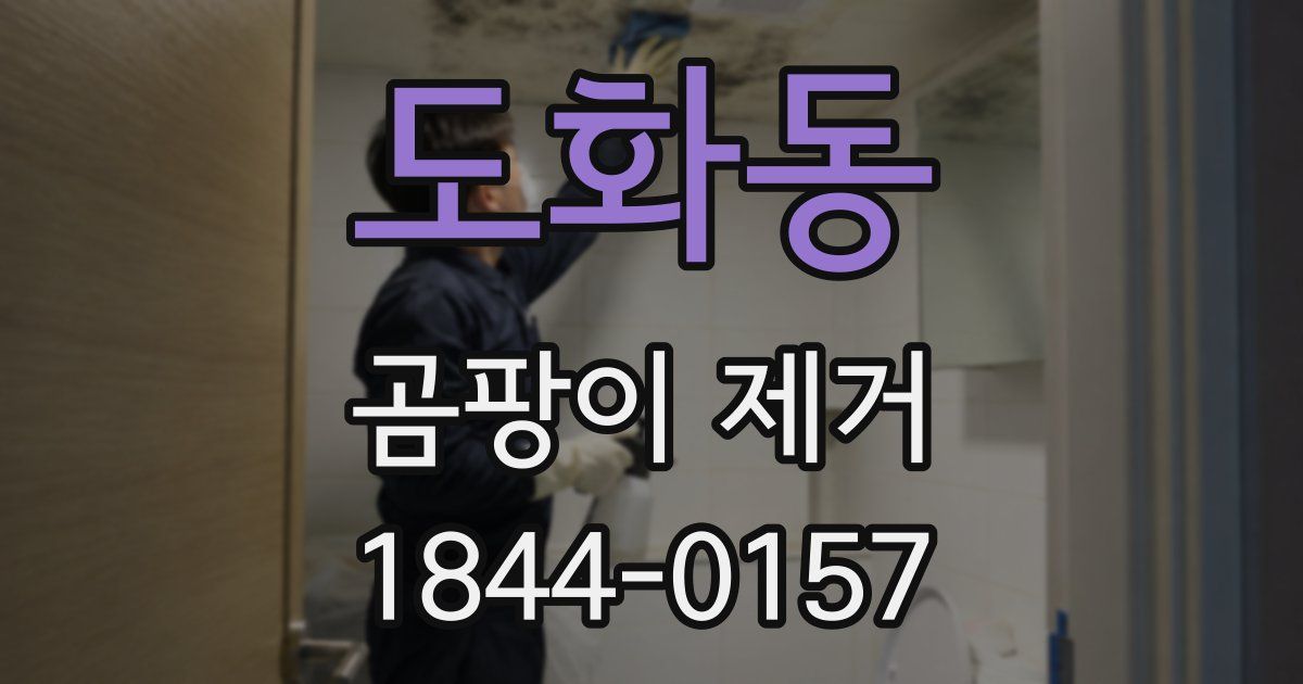 도화동 곰팡이 제거