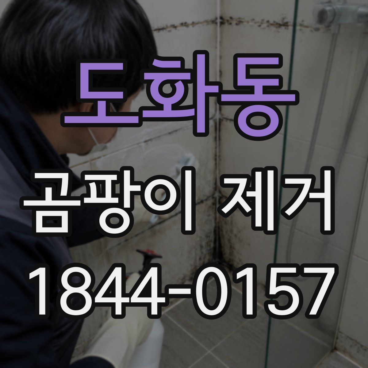 도화동 곰팡이 제거