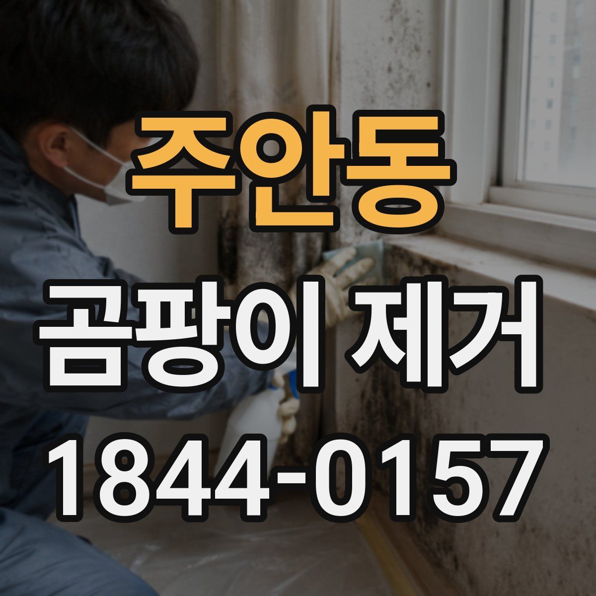 주안동 곰팡이 제거