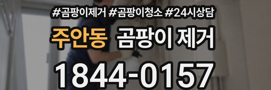 주안동 곰팡이 제거