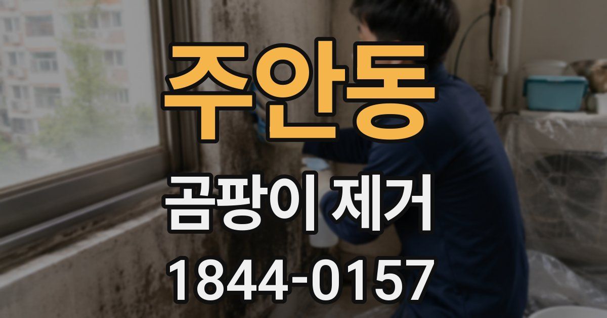 주안동 곰팡이 제거