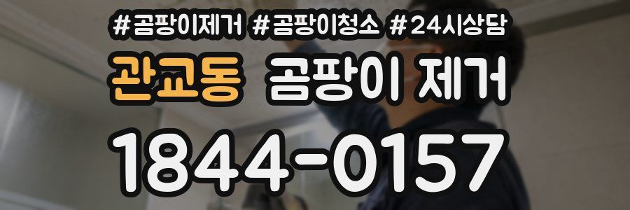 관교동 곰팡이 제거
