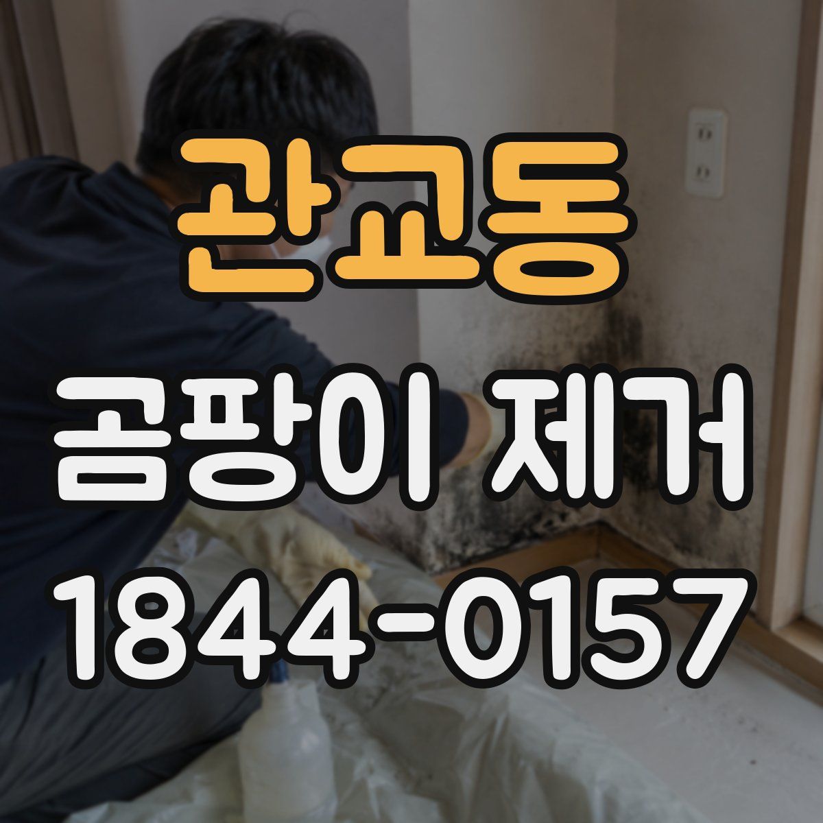 관교동 곰팡이 제거