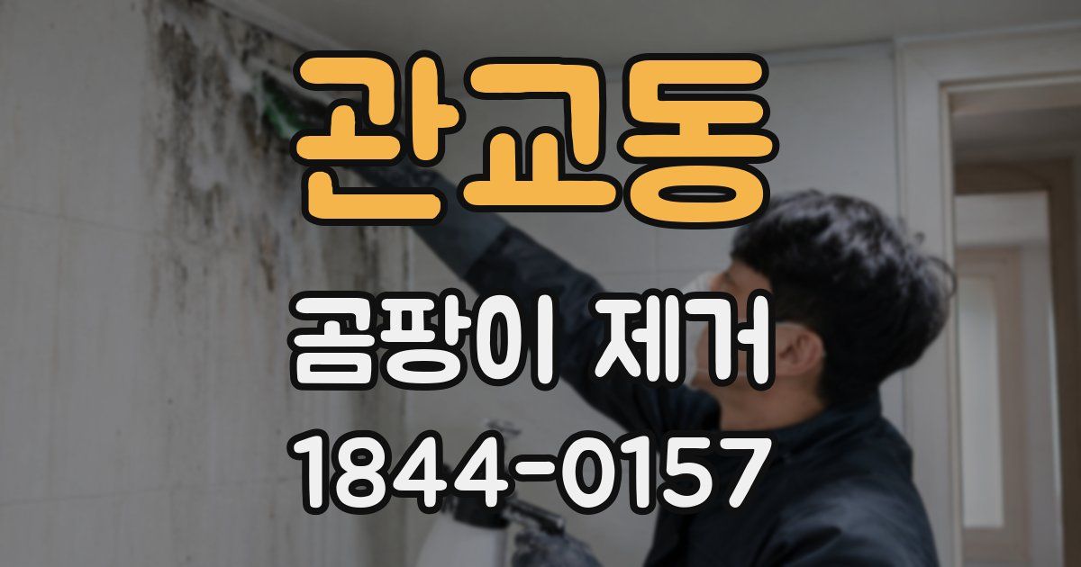 관교동 곰팡이 제거
