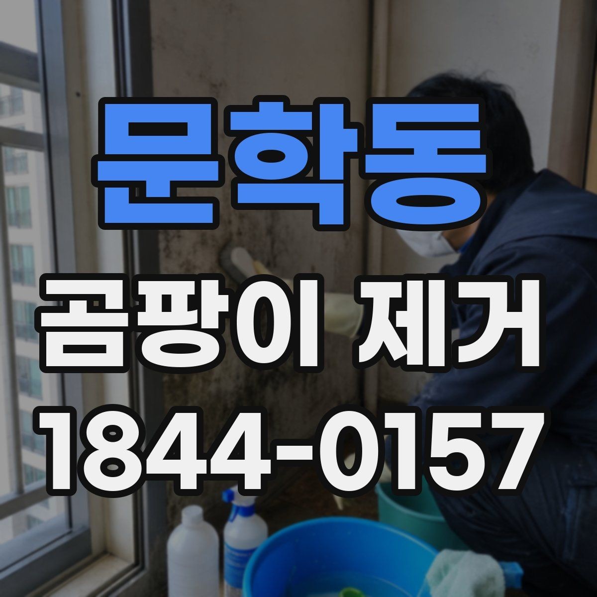문학동 곰팡이 제거 장마철 실내 습도 관리가 중요한 이유