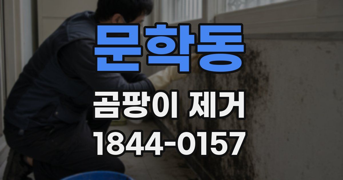 문학동 곰팡이 제거