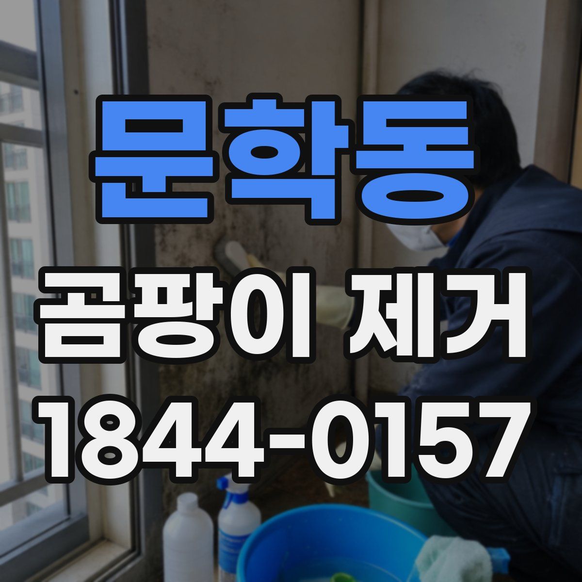 문학동 곰팡이 제거