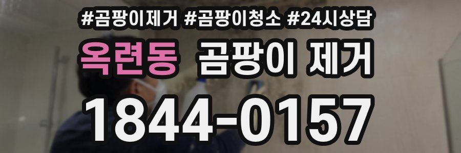 옥련동 곰팡이 제거
