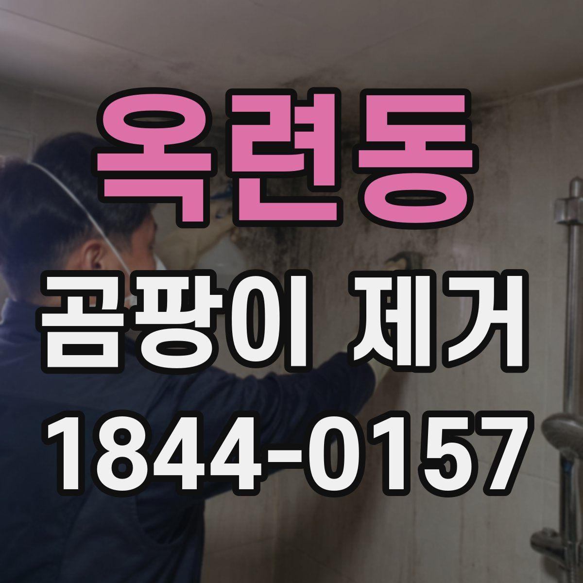 옥련동 곰팡이 제거