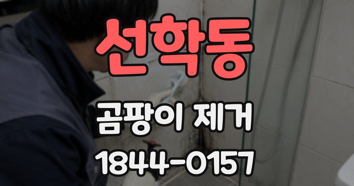 선학동 곰팡이 제거