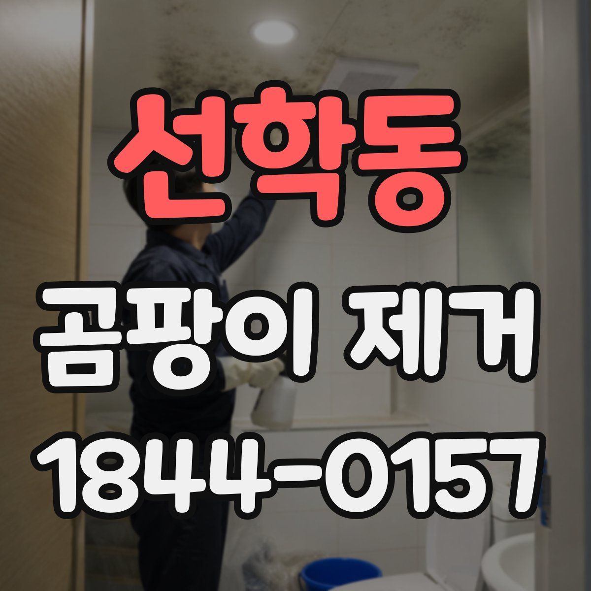 선학동 곰팡이 제거