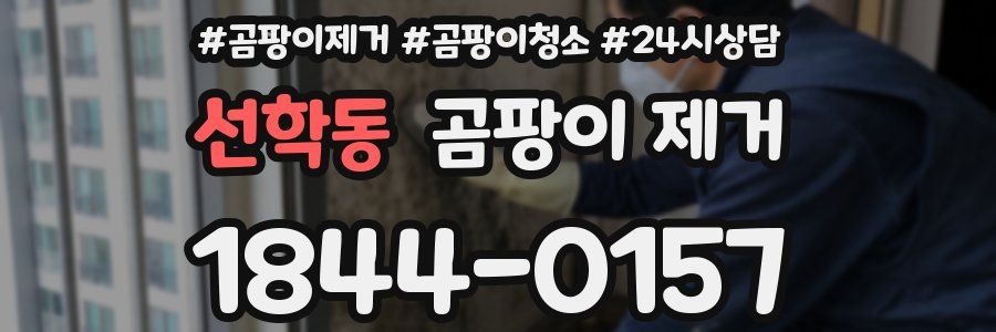 선학동 곰팡이 제거