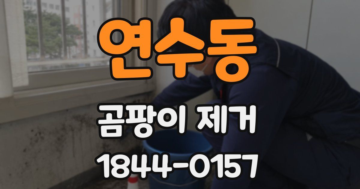 연수동 곰팡이 제거