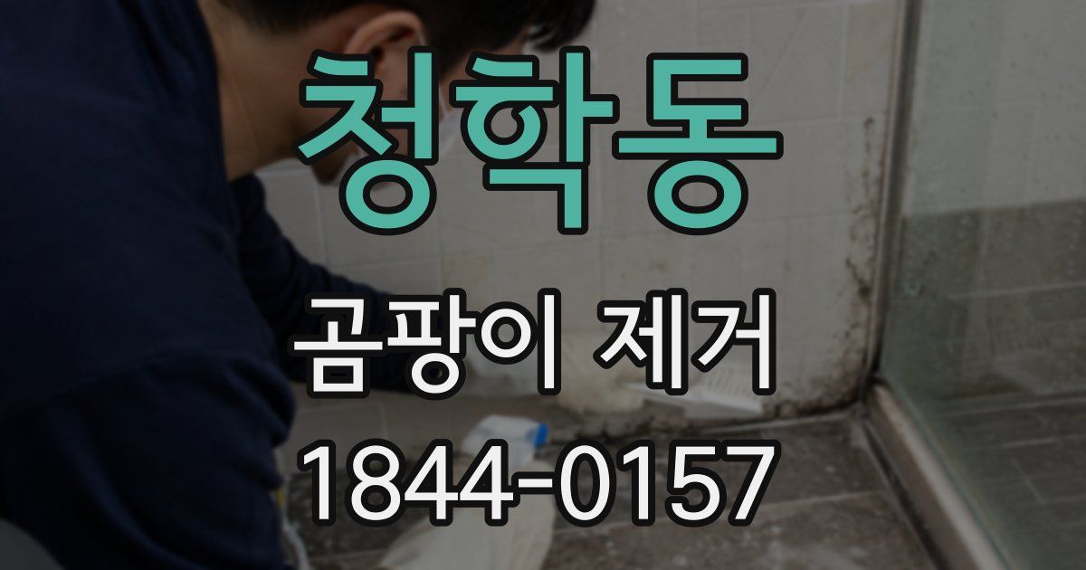청학동 곰팡이 제거