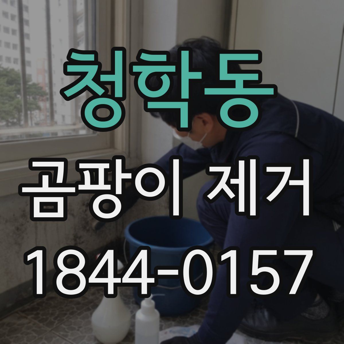 청학동 곰팡이 제거
