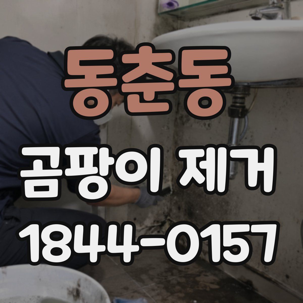 동춘동 곰팡이 제거