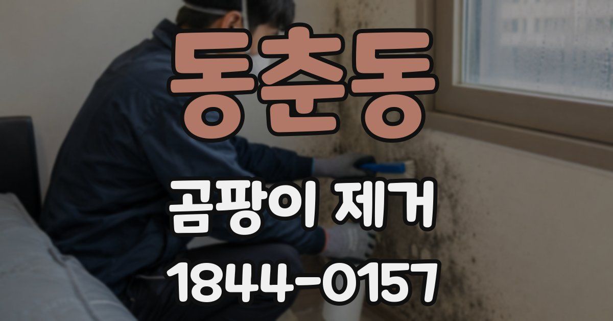 동춘동 곰팡이 제거