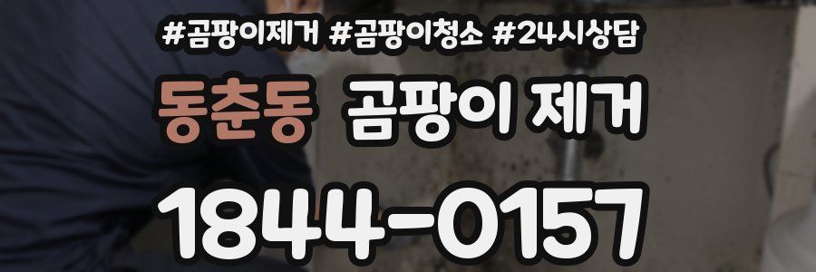 동춘동 곰팡이 제거