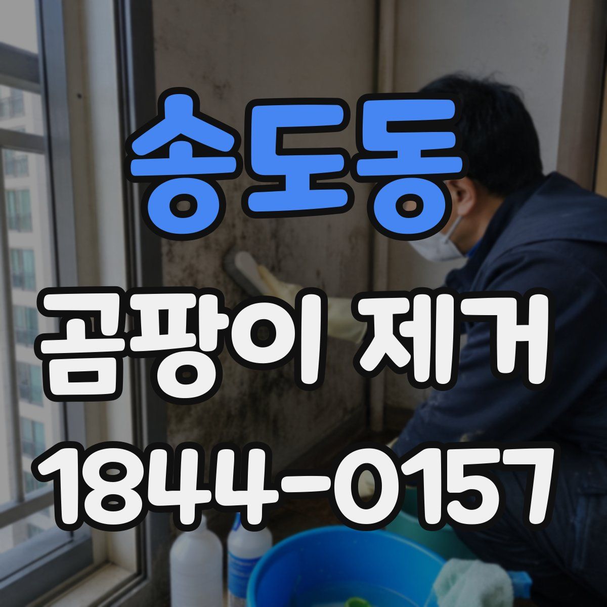 송도동 곰팡이 제거