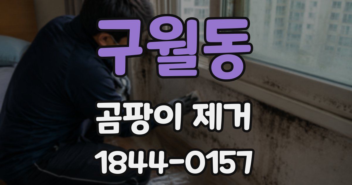 구월동 곰팡이 제거