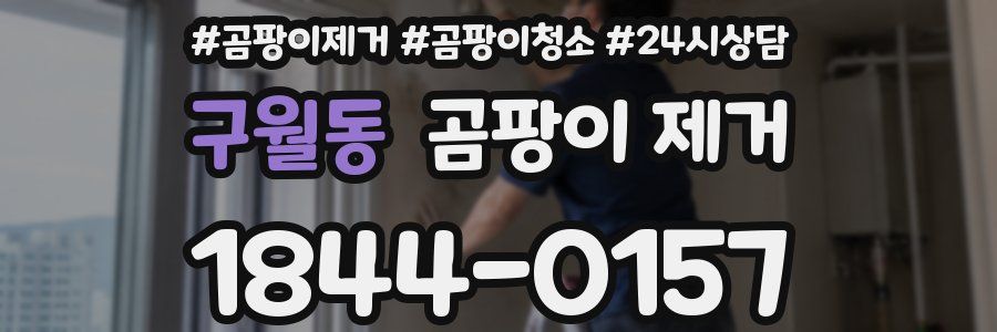 구월동 곰팡이 제거