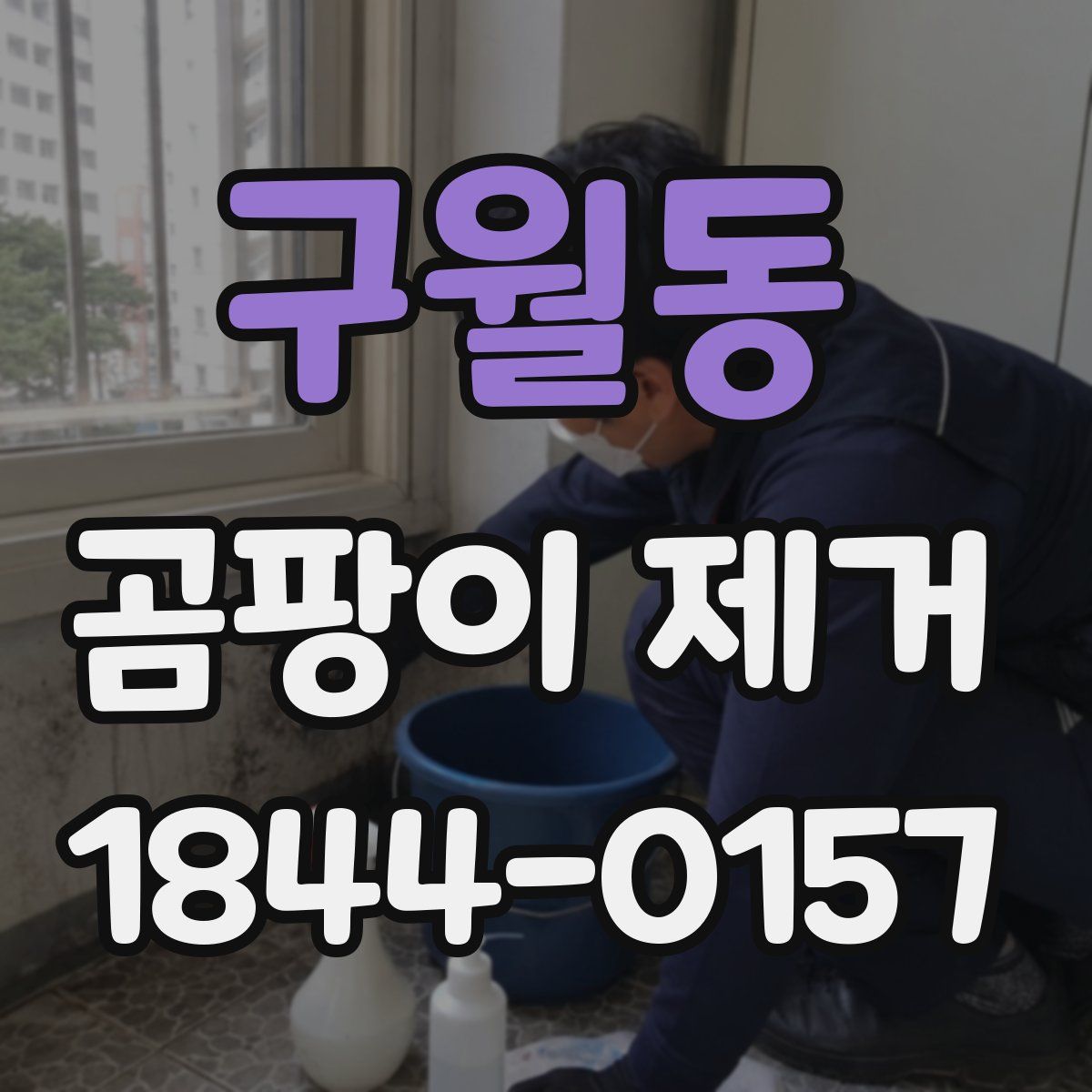 구월동 곰팡이 제거
