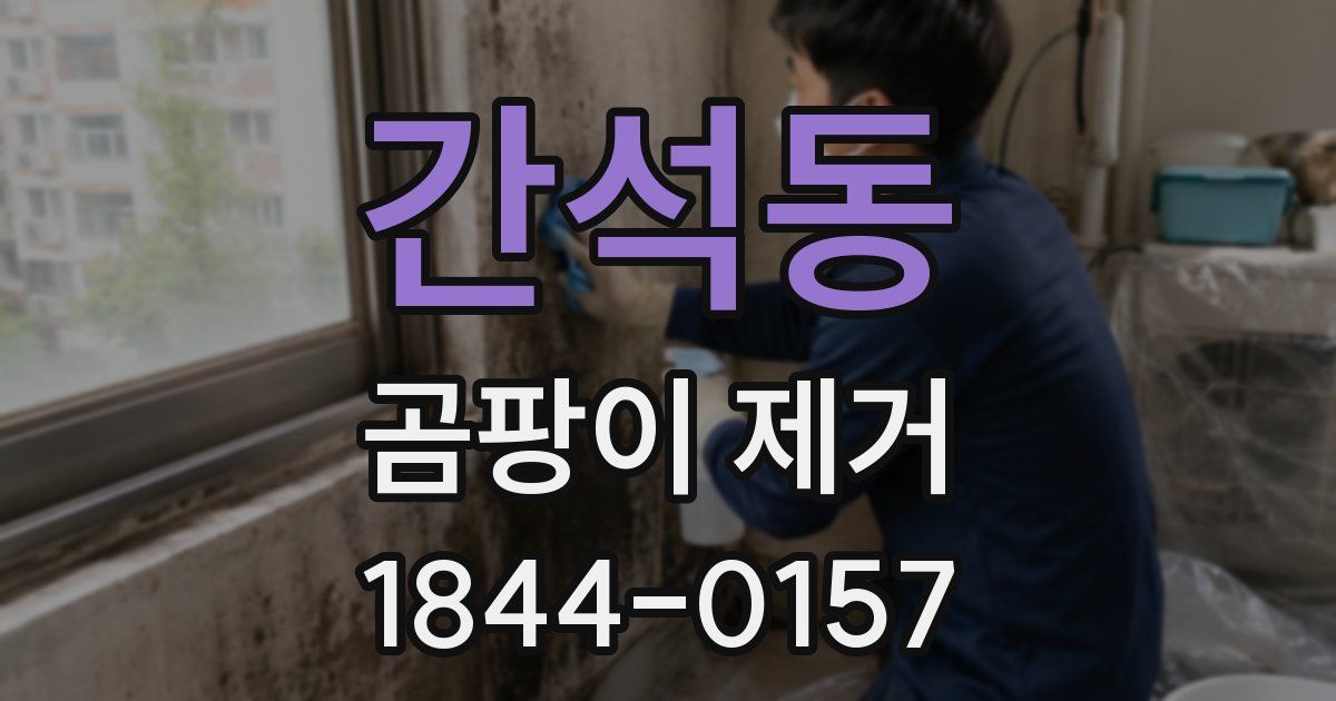 간석동 곰팡이 제거