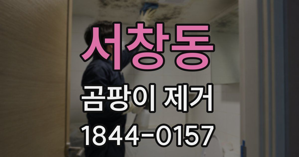 서창동 곰팡이 제거