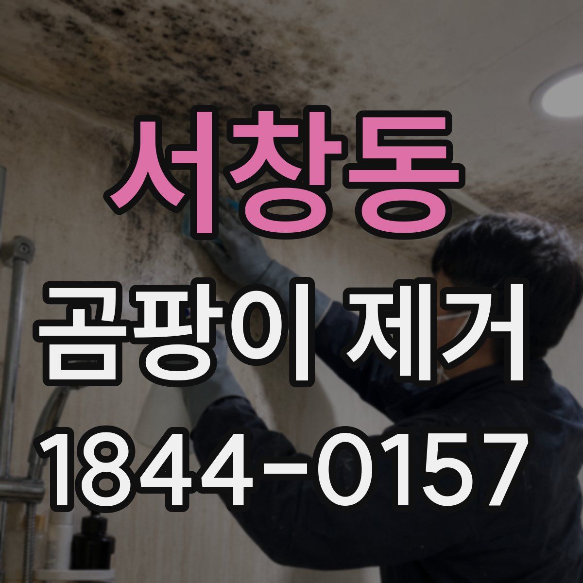 서창동 곰팡이 제거