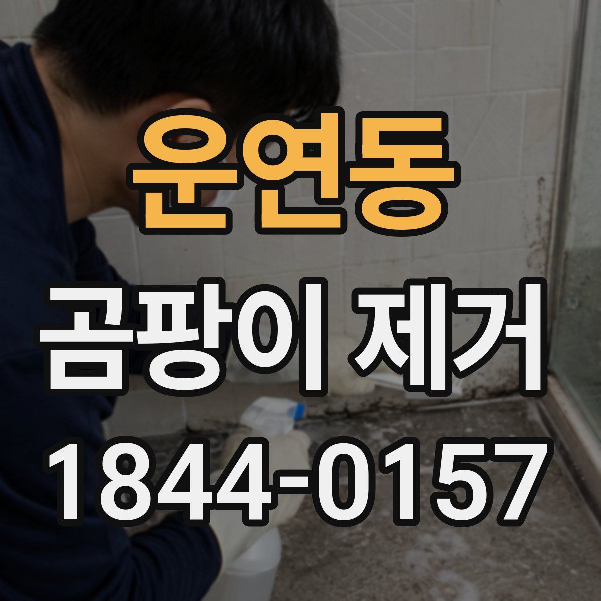 운연동 곰팡이 제거