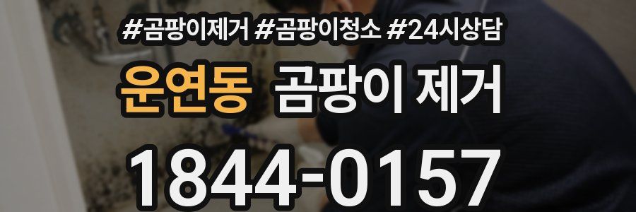 운연동 곰팡이 제거
