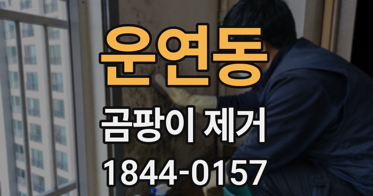 운연동 곰팡이 제거