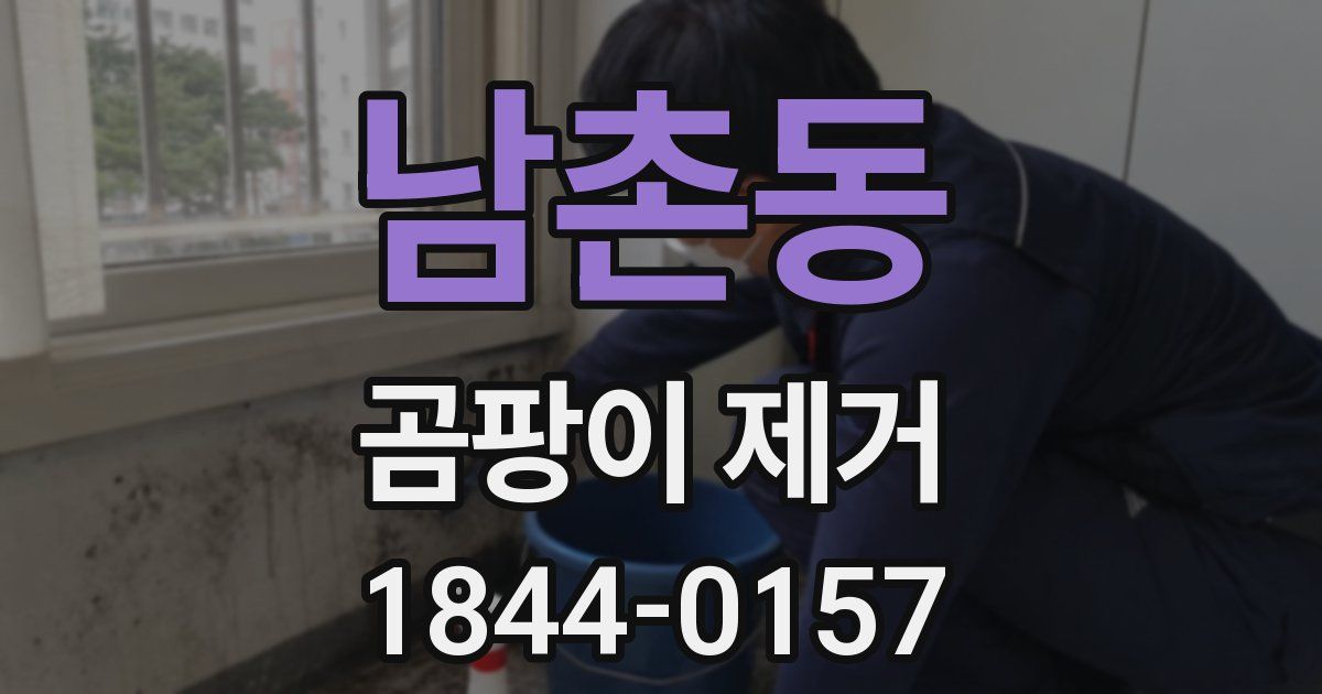 남촌동 곰팡이 제거