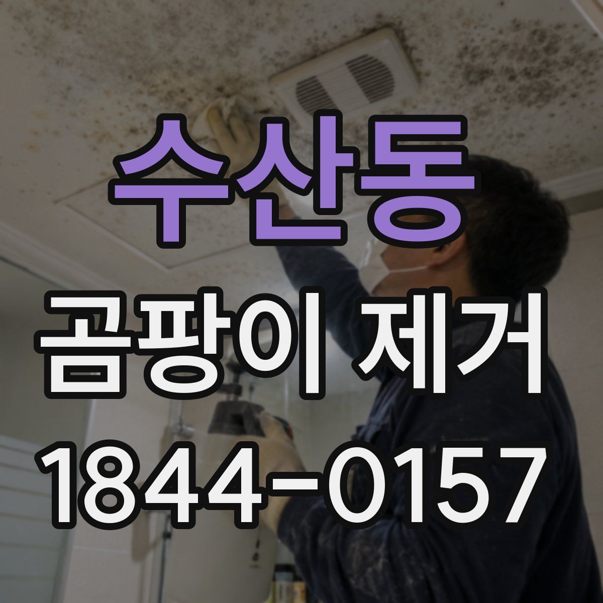 수산동 곰팡이 제거