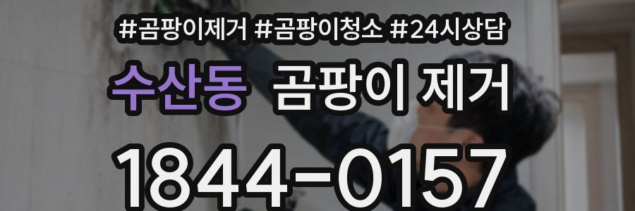 수산동 곰팡이 제거