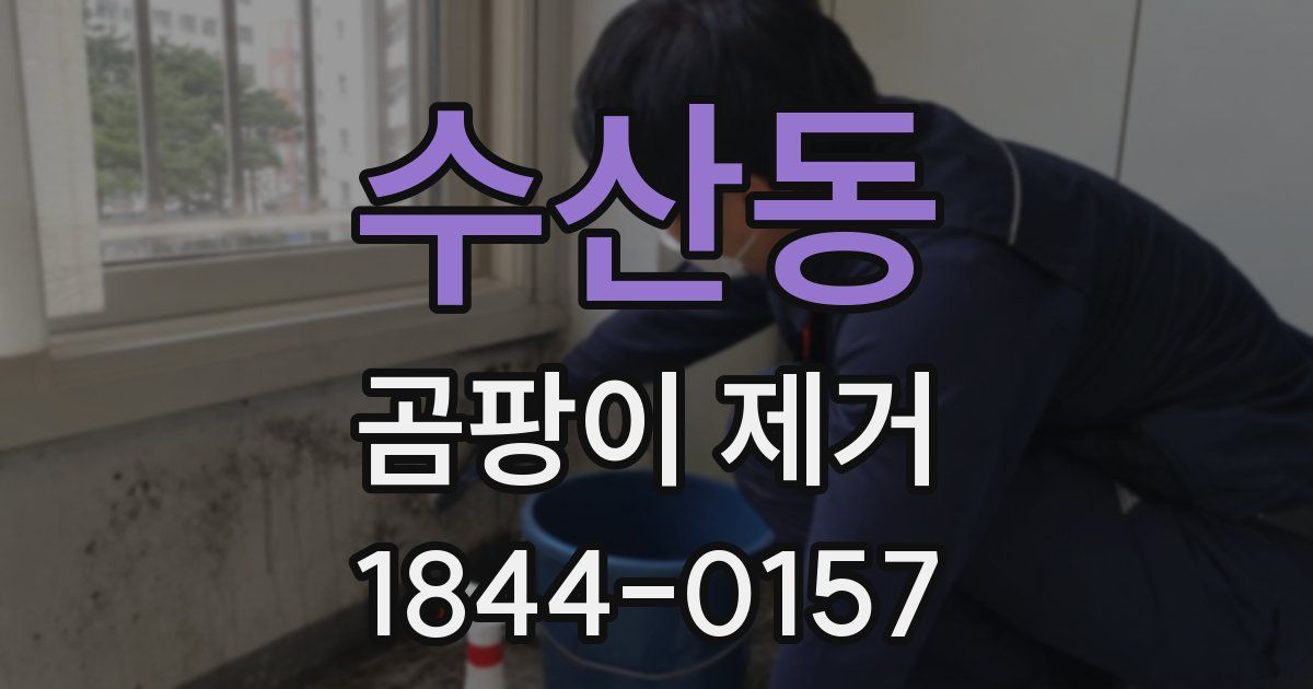 수산동 곰팡이 제거