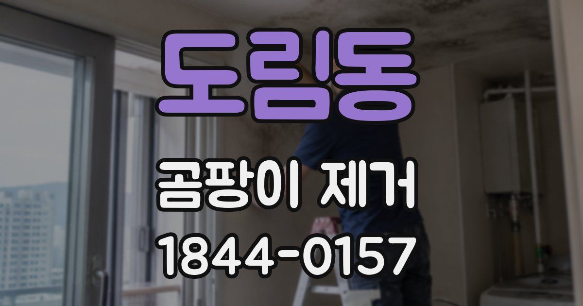 도림동 곰팡이 제거