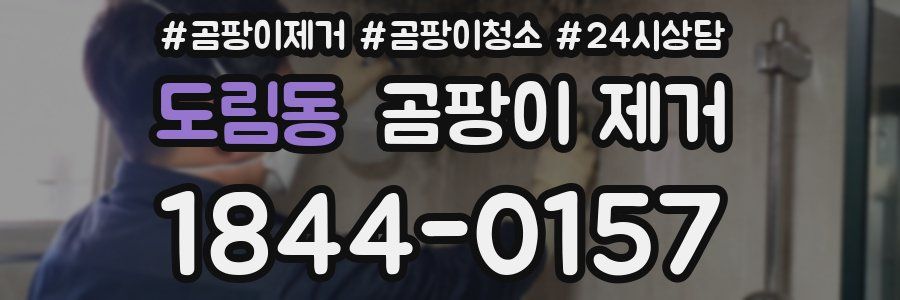 도림동 곰팡이 제거
