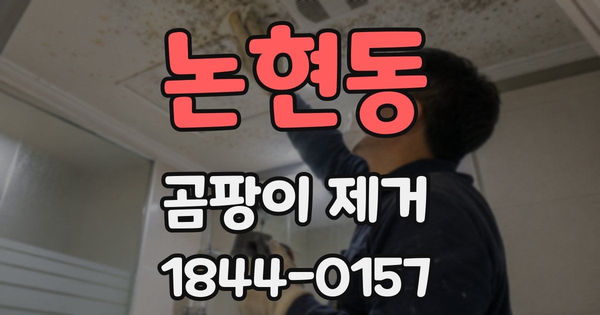 논현동 곰팡이 제거