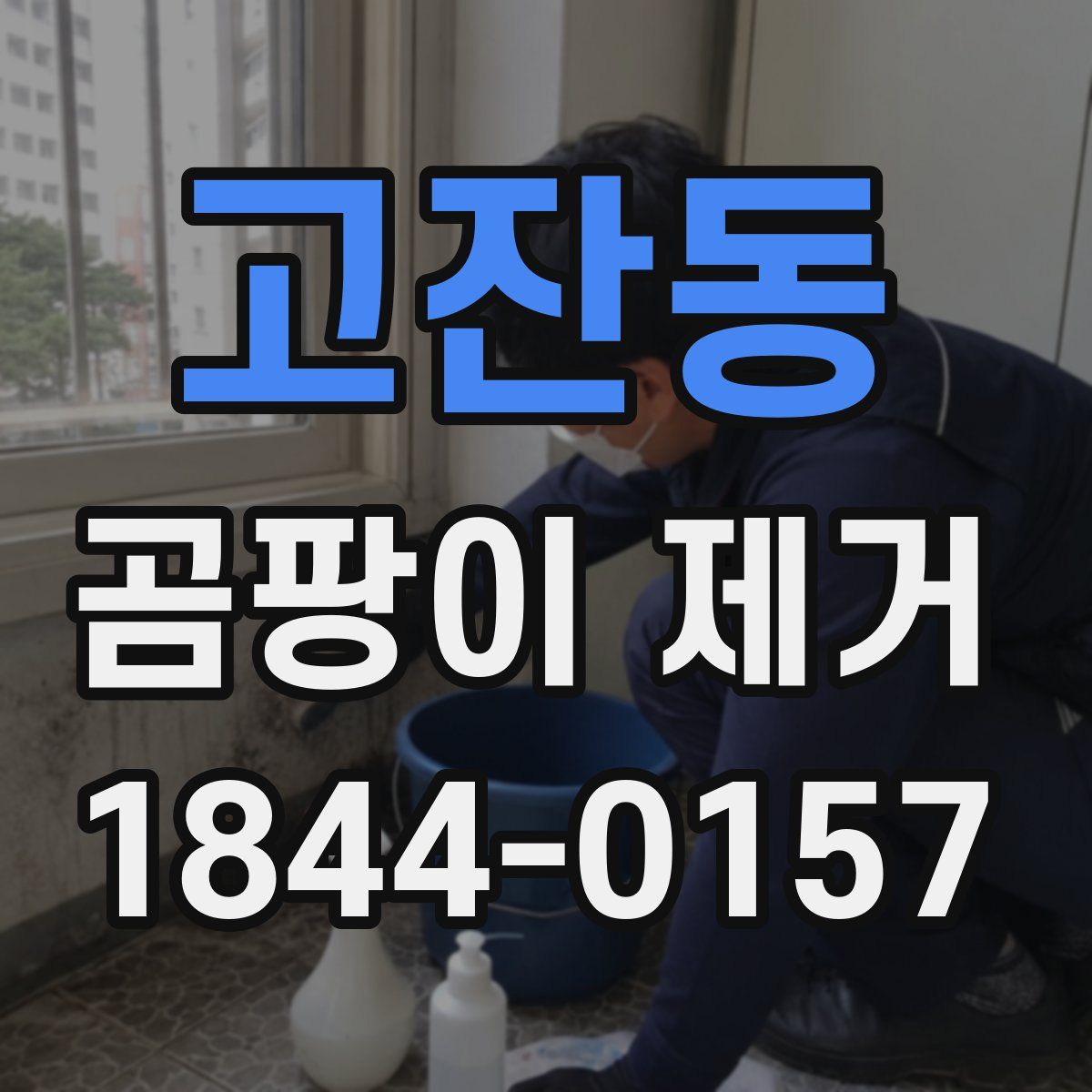 고잔동 곰팡이 제거
