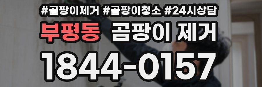 부평동 곰팡이 제거