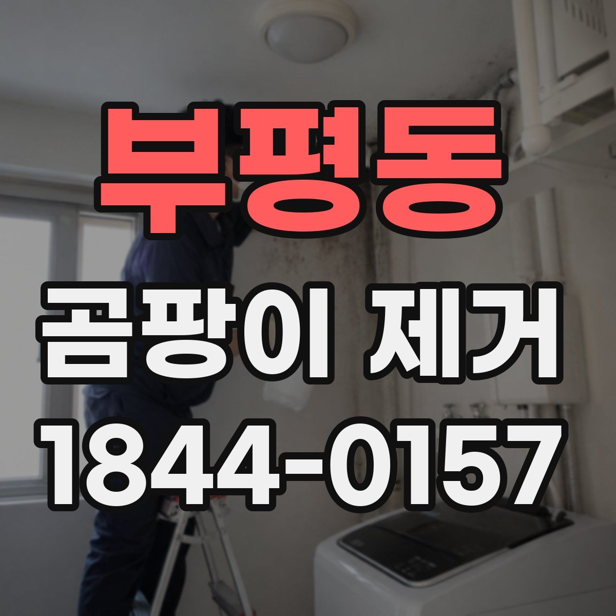 부평동 곰팡이 제거