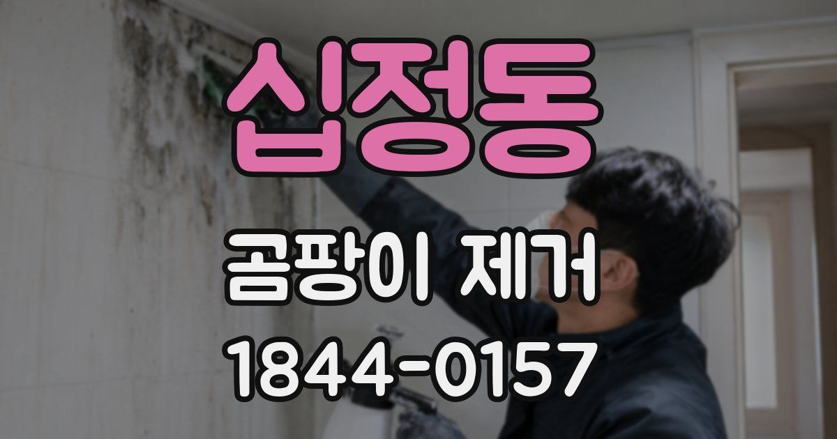 십정동 곰팡이 제거