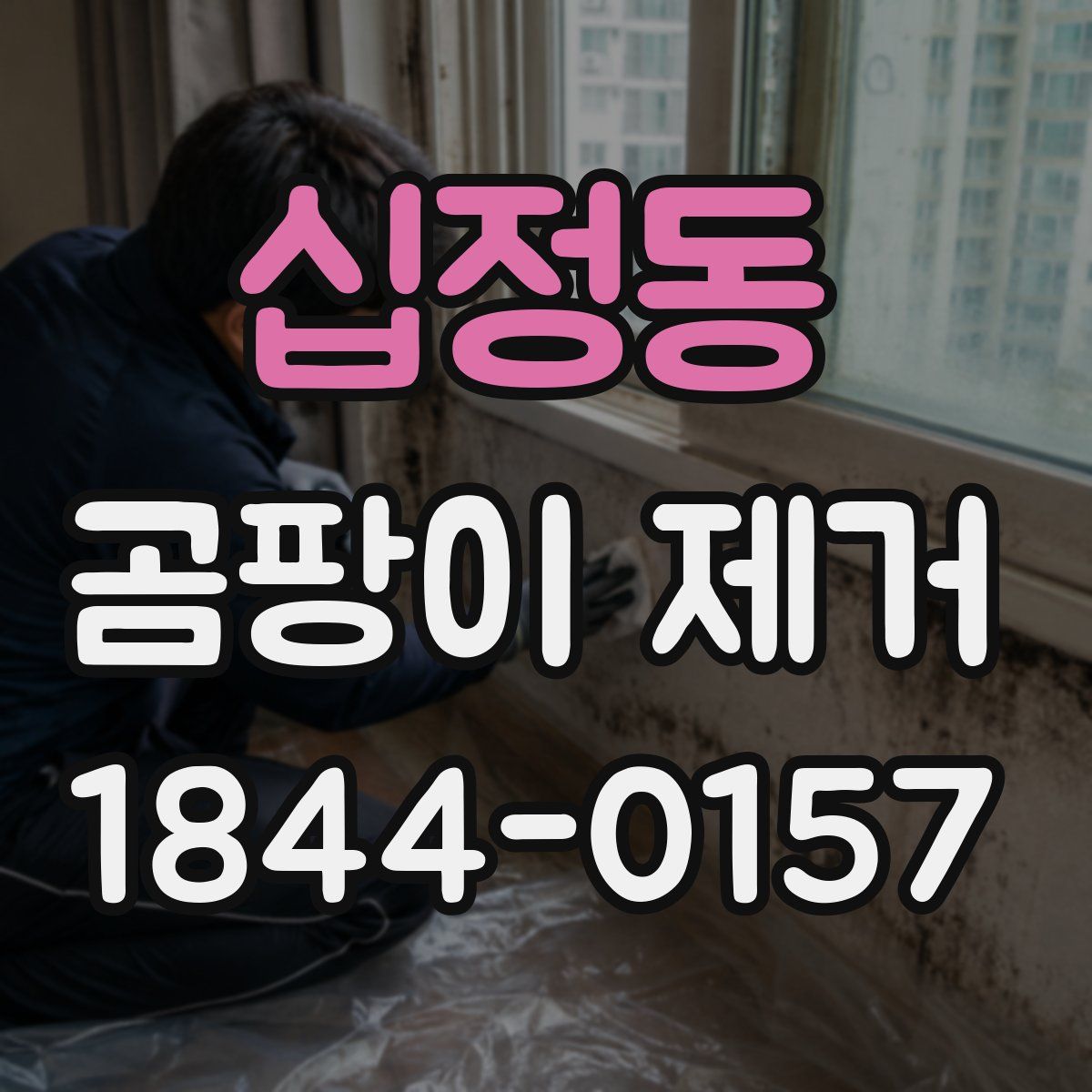 십정동 곰팡이 제거