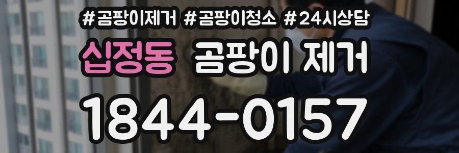 십정동 곰팡이 제거