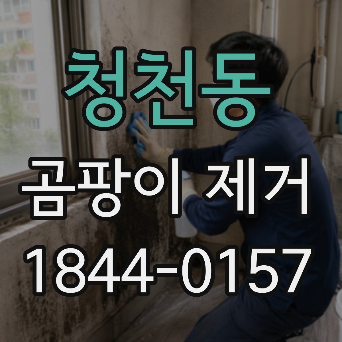 청천동 곰팡이 제거 뒤 공기 쾌적함을 오래 유지하는 습관