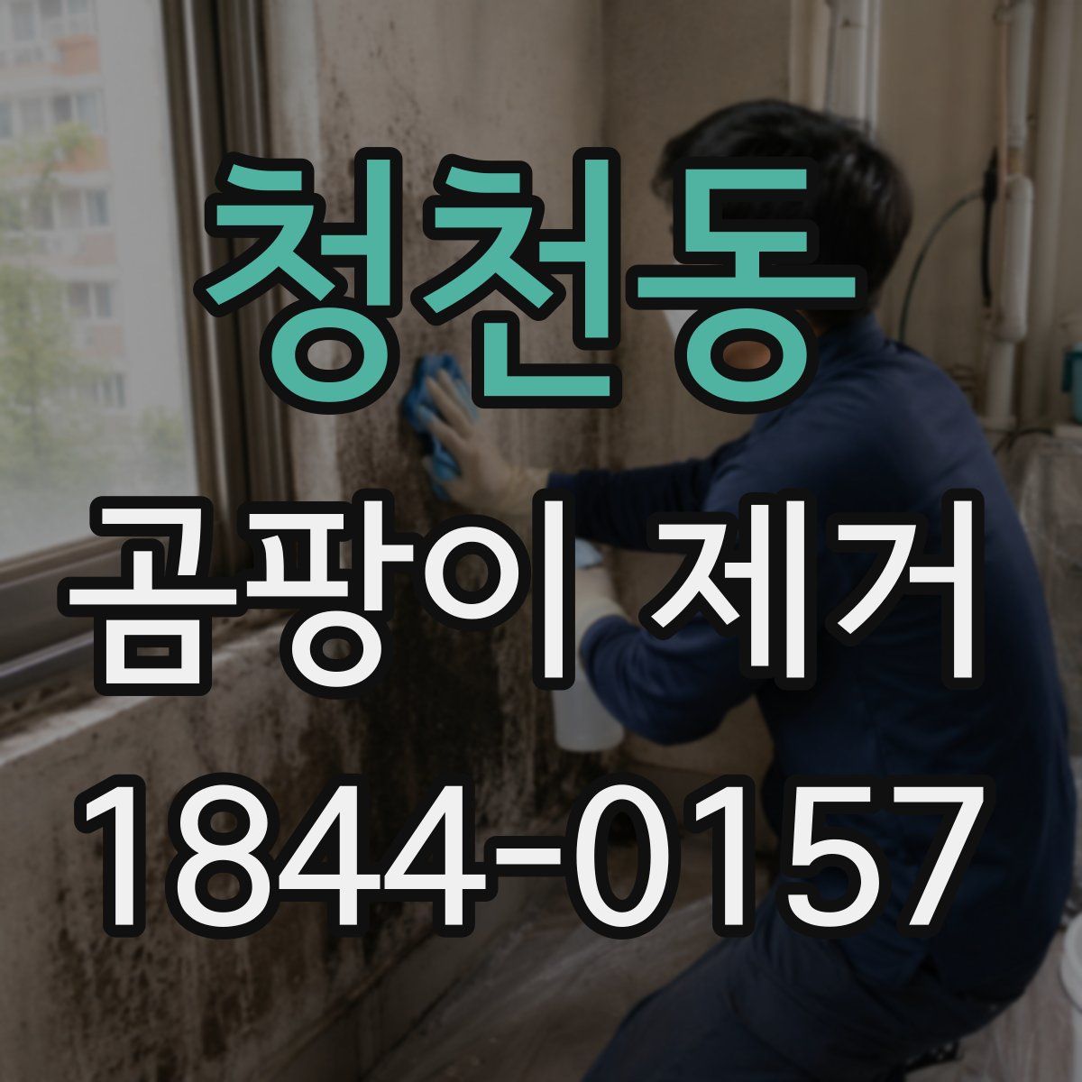 청천동 곰팡이 제거