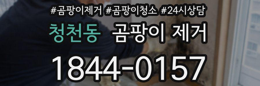 청천동 곰팡이 제거