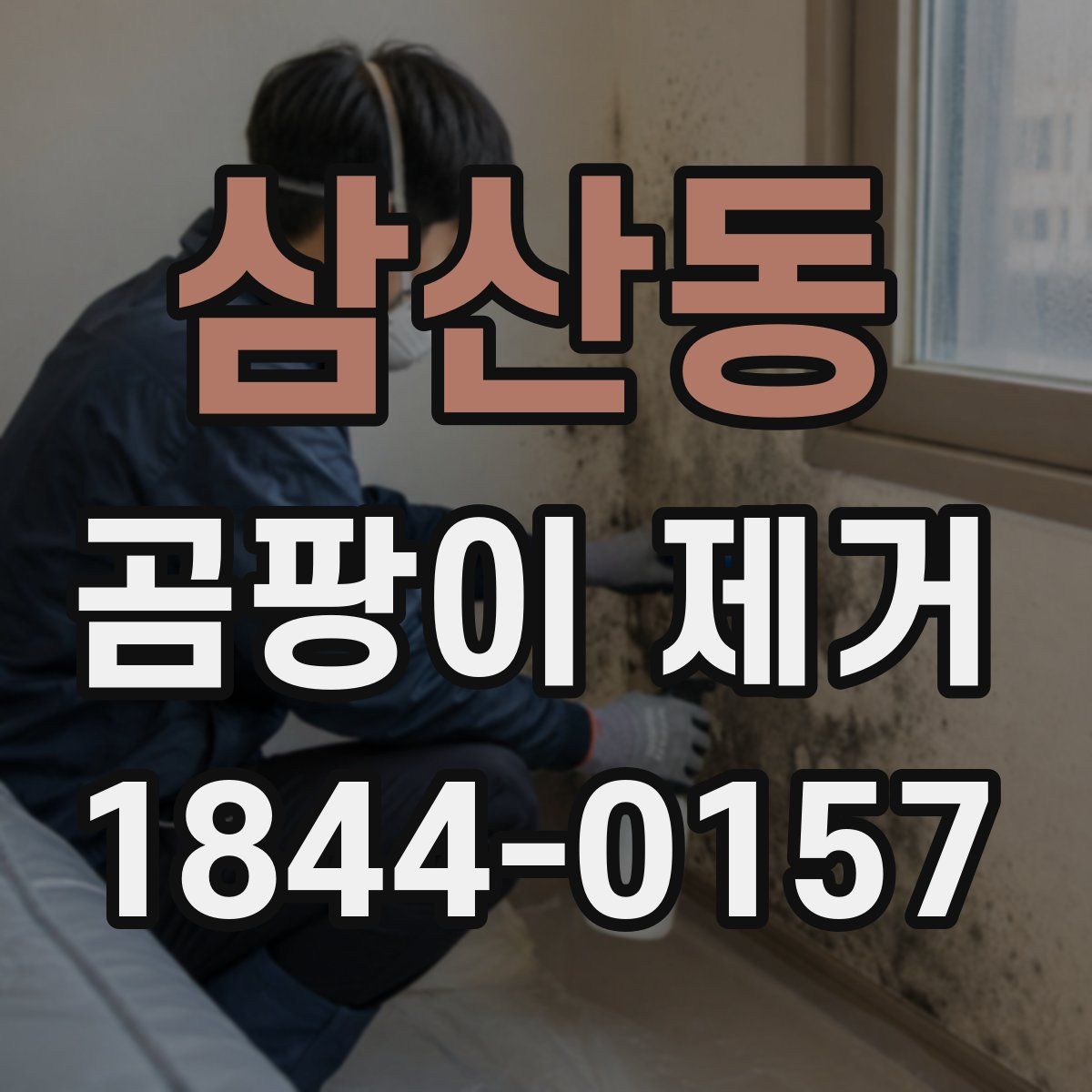 삼산동 곰팡이 제거